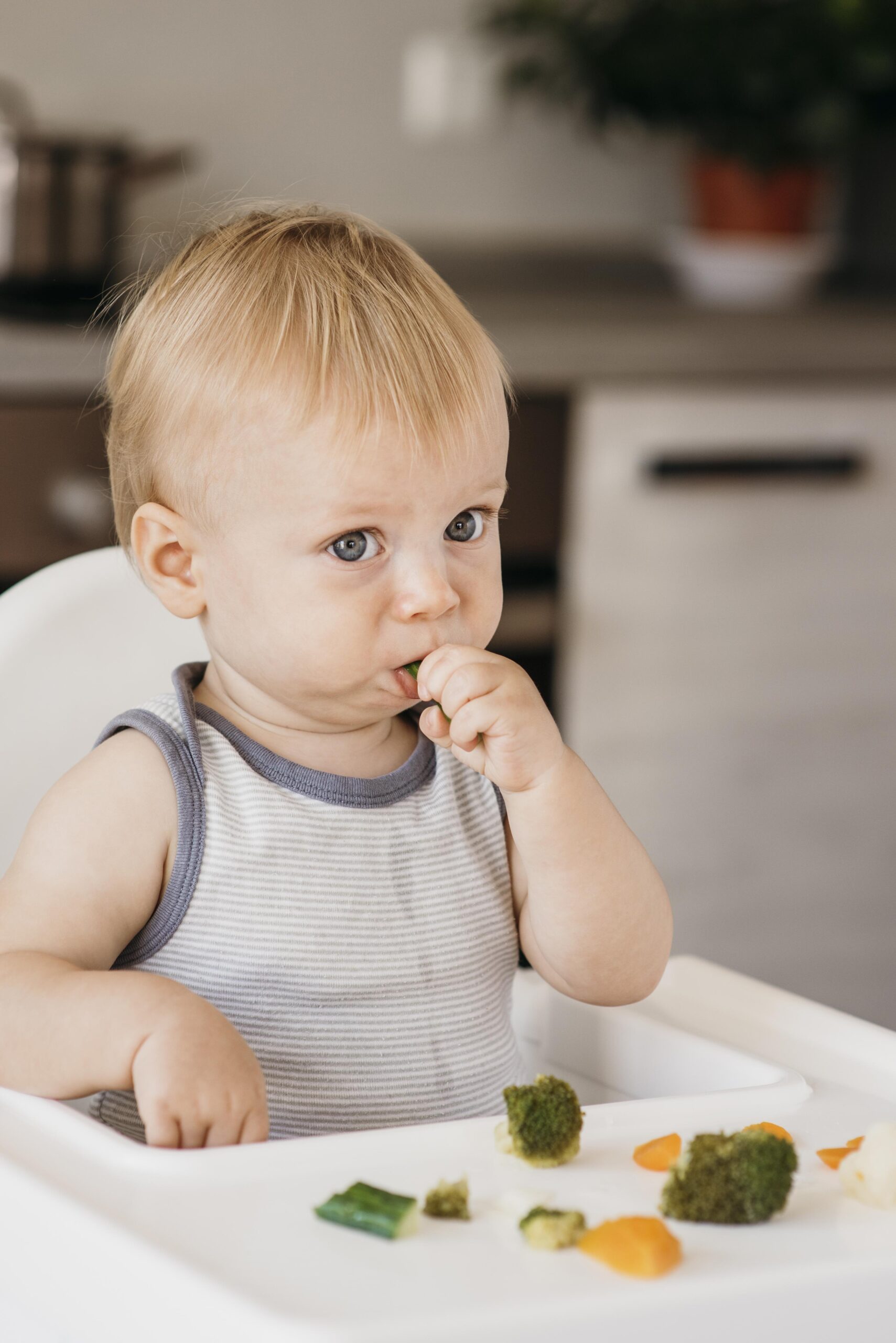 baby-boy-en-trona-comiendo-verduras